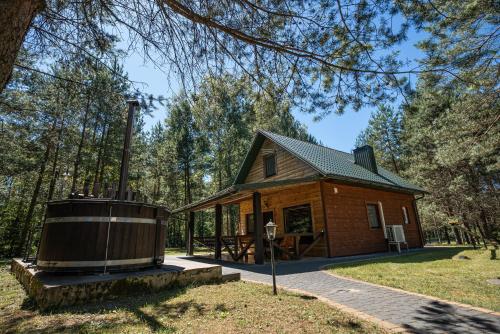 Namelis su pirtele in Druskininkai, Lithuania