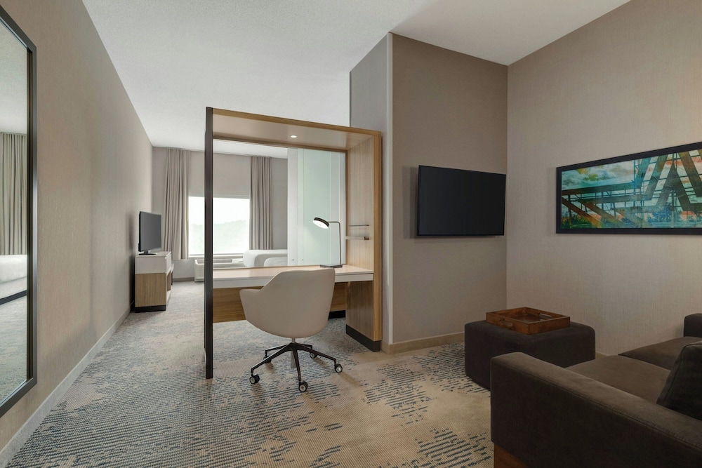 SpringHill Suites by Marriott Roanoke - photo 22