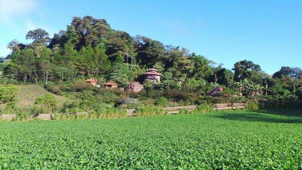 Finca Neblina del Bosque in Esteli, Nicaragua
