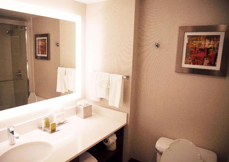 The Brookhaven Atlanta Hotel - photo 20