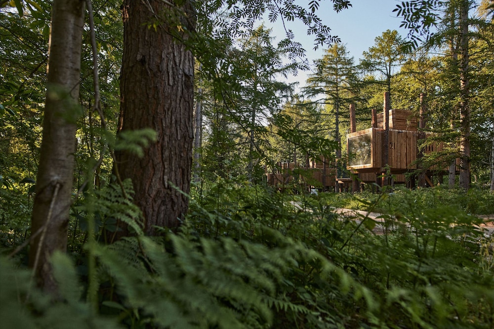 Treeloft Adventure In Nature For 4 People 13 — Antoing