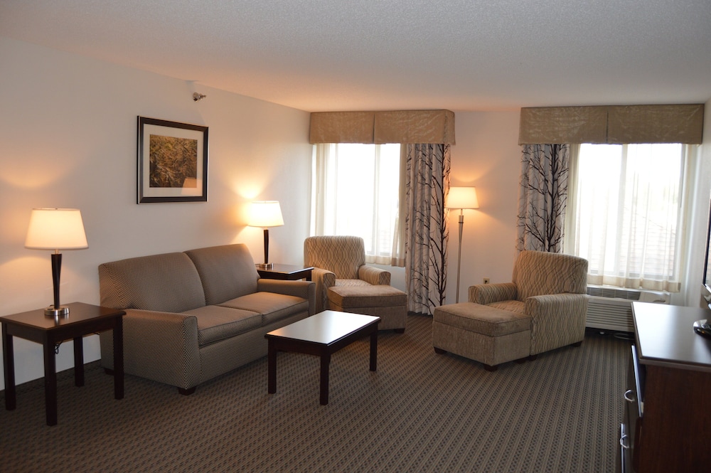 Holiday Inn Express & Suites Winner by IHG - photo 8