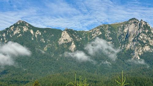 Venus Apartamente de Inchiriat in Busteni, Romania