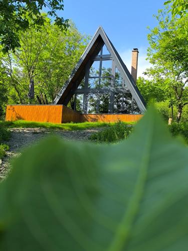 Cabana NucA Frame Baia Mare - last minute hotel in Unknown City