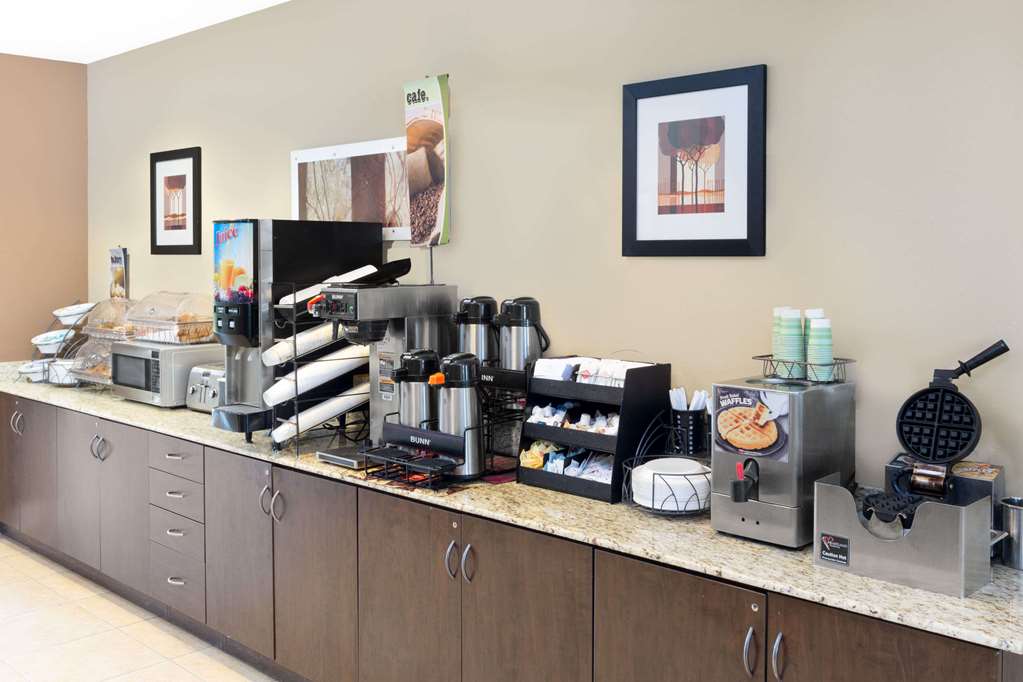 Microtel Inn & Suites by Wyndham Ozark - photo 14