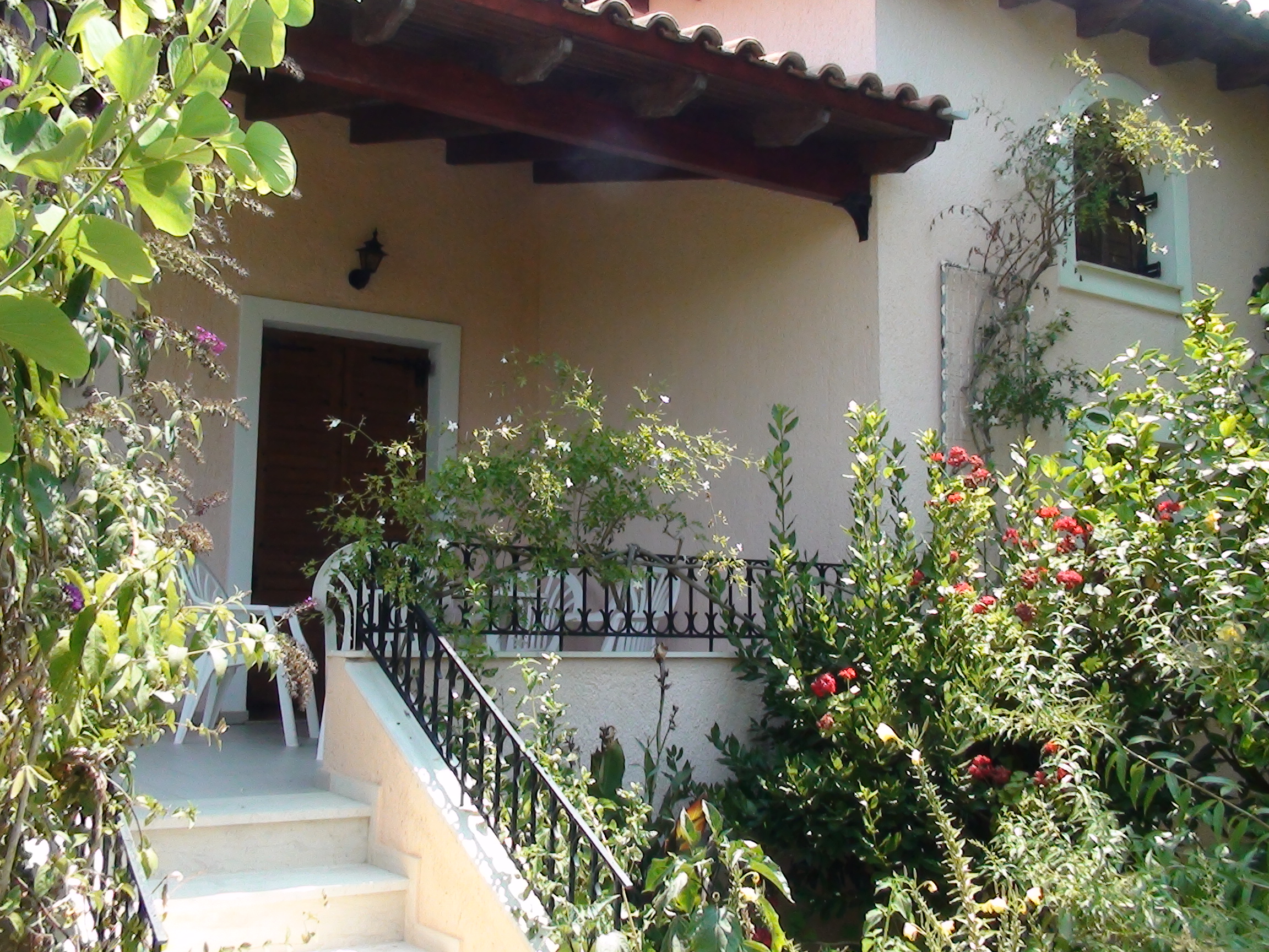 Baha Ammes in Kefalonia, Greece