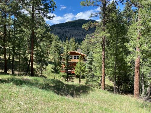 Peaceful in Evergreen, United States