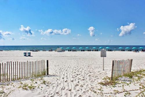 Ocean Reef 304 - photo 2