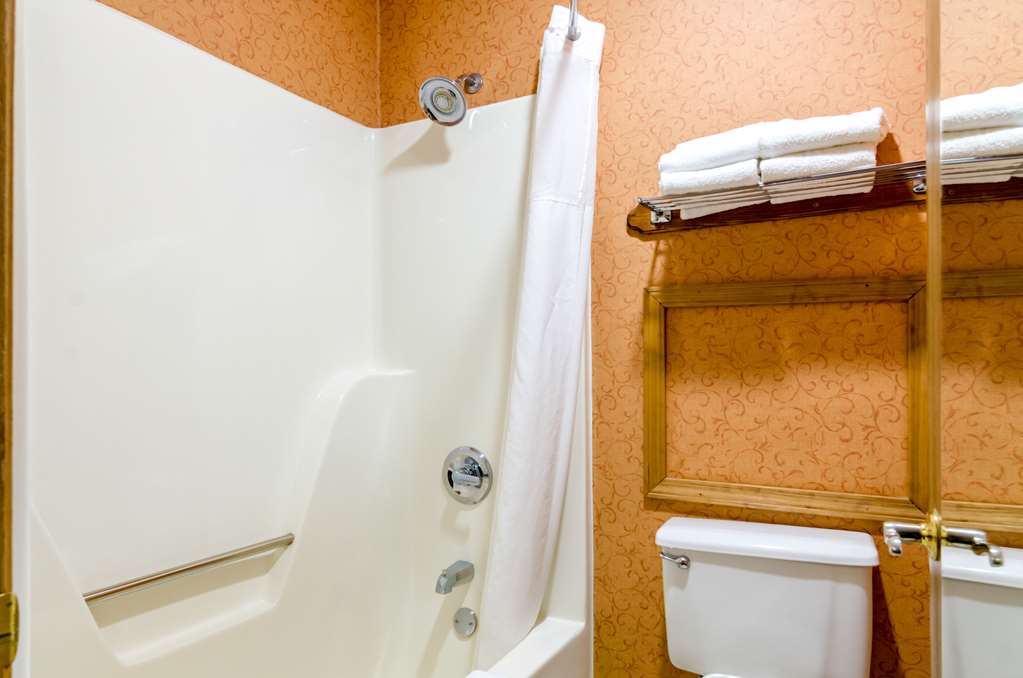 Quality Inn Eureka Springs South - photo 40