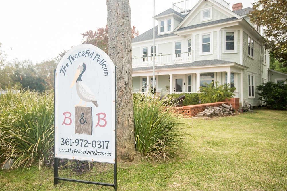 The Peaceful Pelican - photo 36