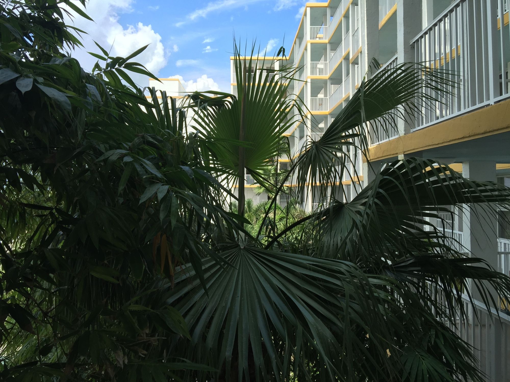 Smyrna Beach Club - photo 42