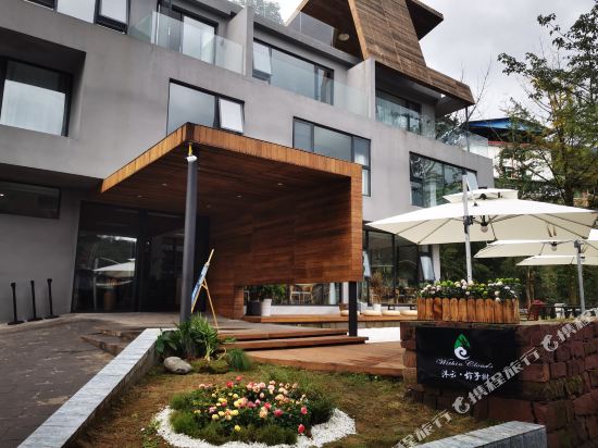 Yaan Mu Cloud persimmon tree in Yucheng, People's Republic of China