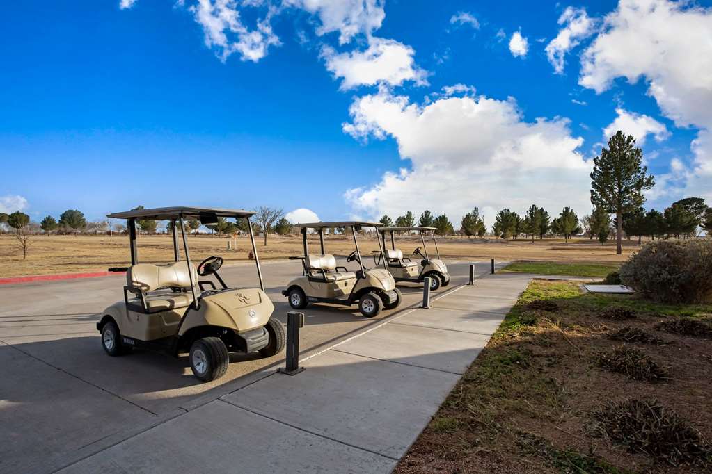 La Quinta Inn & Suites by Wyndham Pecos - photo 36
