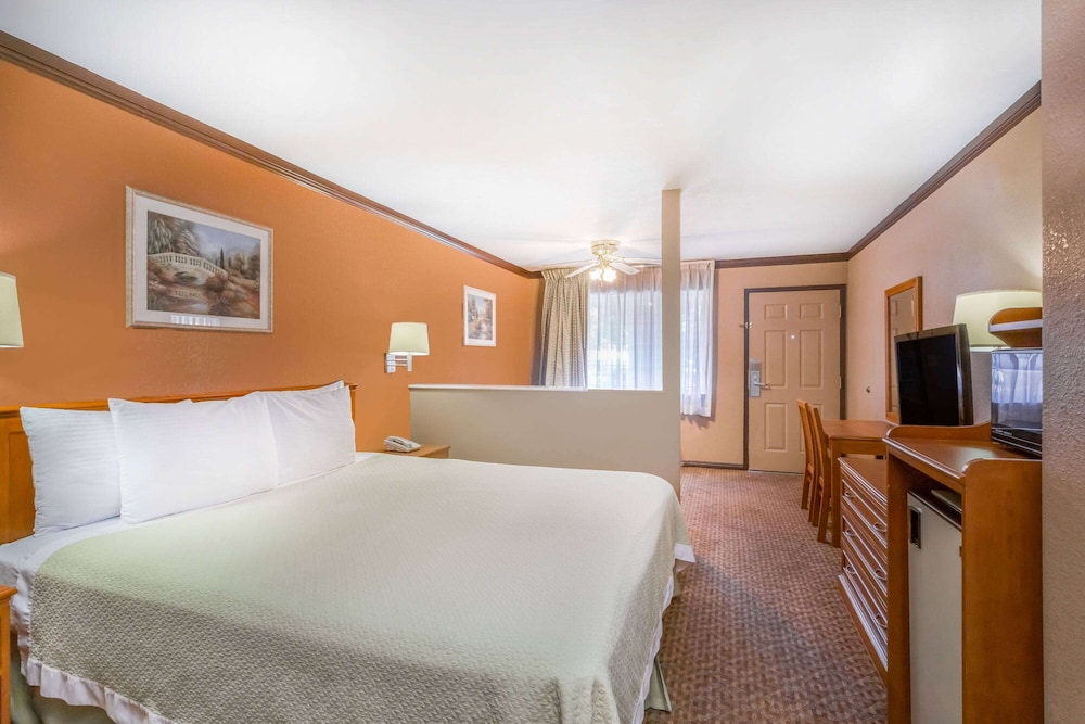 Days Inn by Wyndham Bishop - photo 19