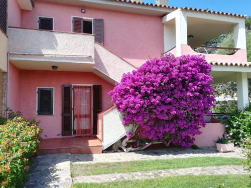 Casa Smeralda — 4-Star Luxury Hotel in Cannigione, Italy