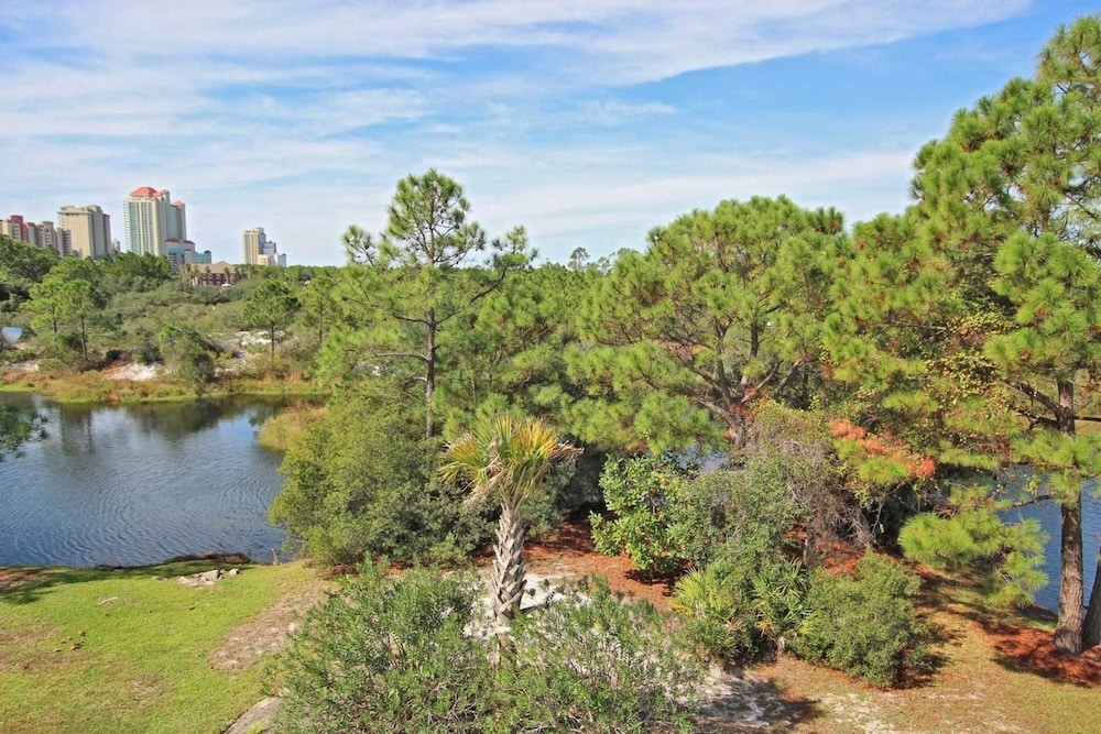 Palmetto 306 - photo 34