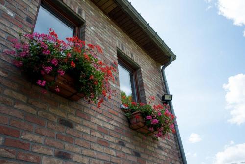Gîte A La Violette — Trois-Ponts — photo 3