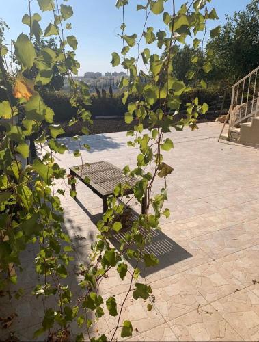 Peaceful Stay Between Tel Aviv Jerusalem & the Airport in Modi'in Makkabbim Re'ut, Israel