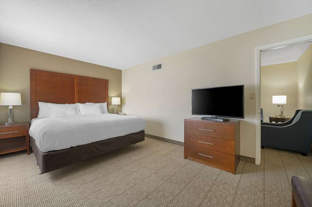 Comfort Inn & Suites Indianapolis Northwest College Park - photo 28