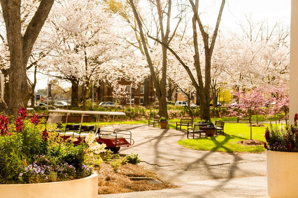 The University of Georgia Center for Continuing Education & Hotel - photo 81