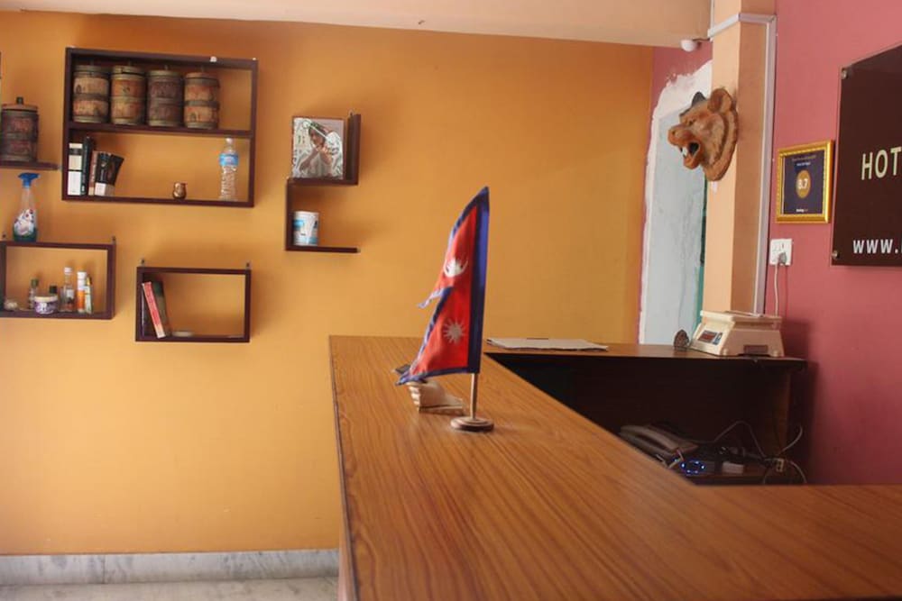 Hotel Dali Nepal — Kathmandu — photo 3