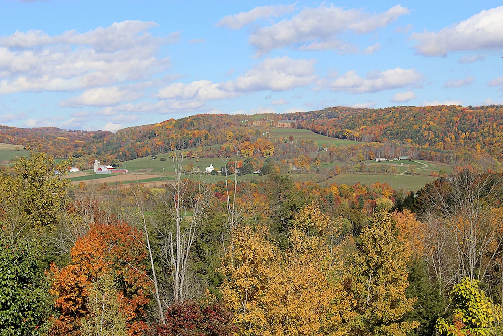 Crystal Springs Inn and Suites - photo 32