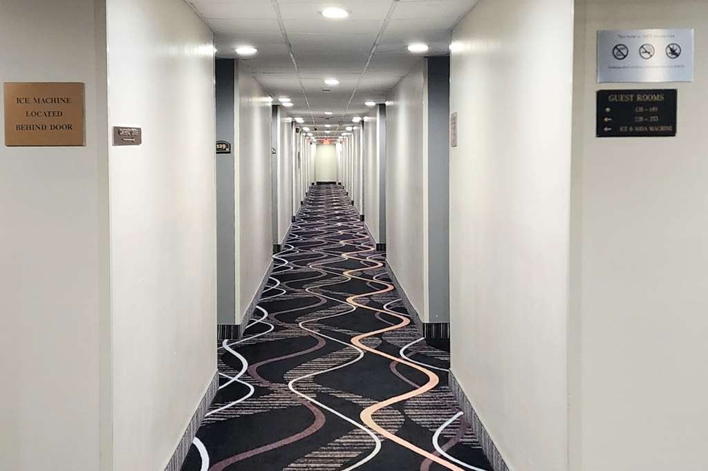 Quality Inn Dublin I 81 - photo 49