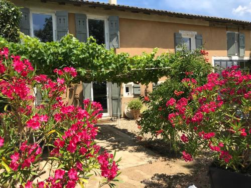 La Gatille — hotel in Villie-Morgon