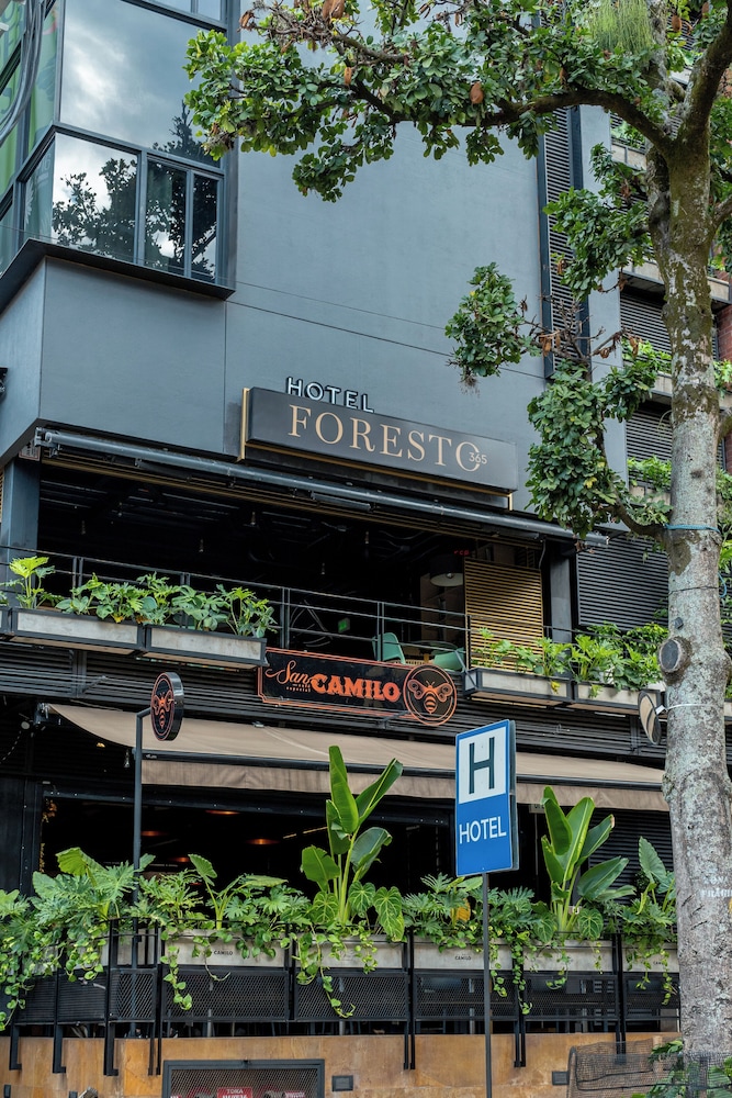 Hotel Foresto 365 in Cali, Colombia
