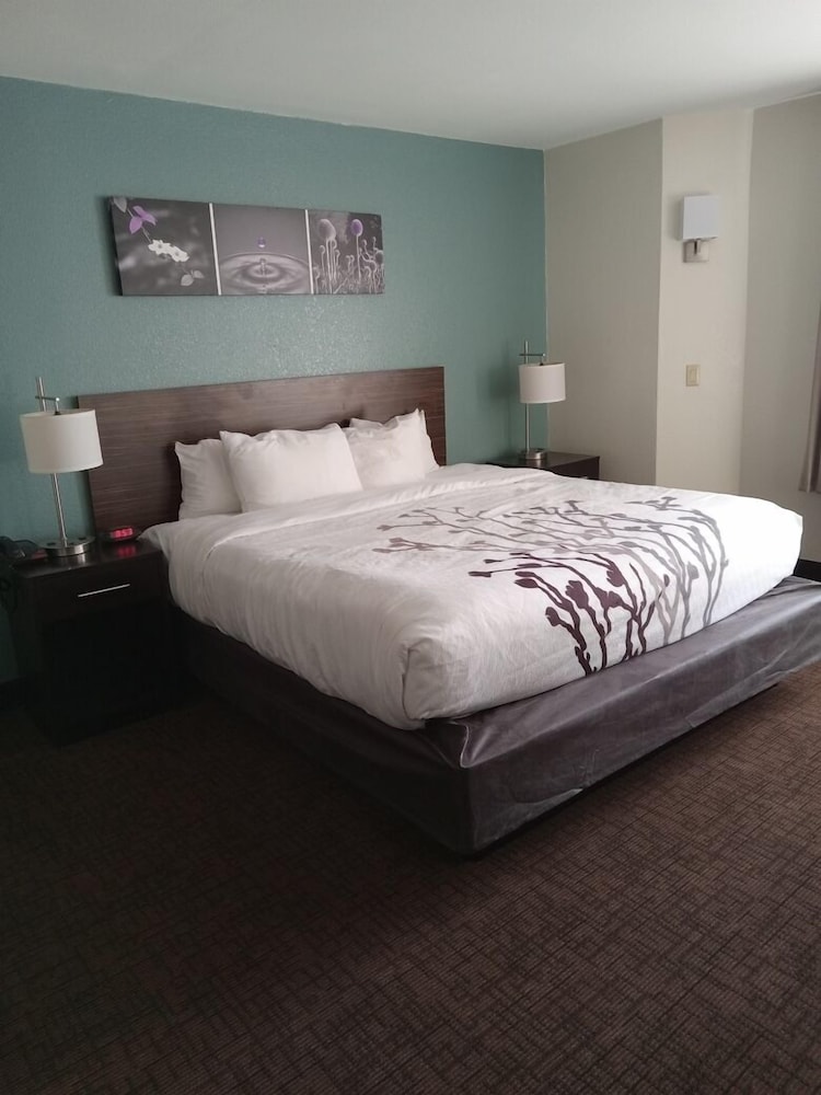 Sleep Inn & Suites Kingsport TriCities Airport - photo 7