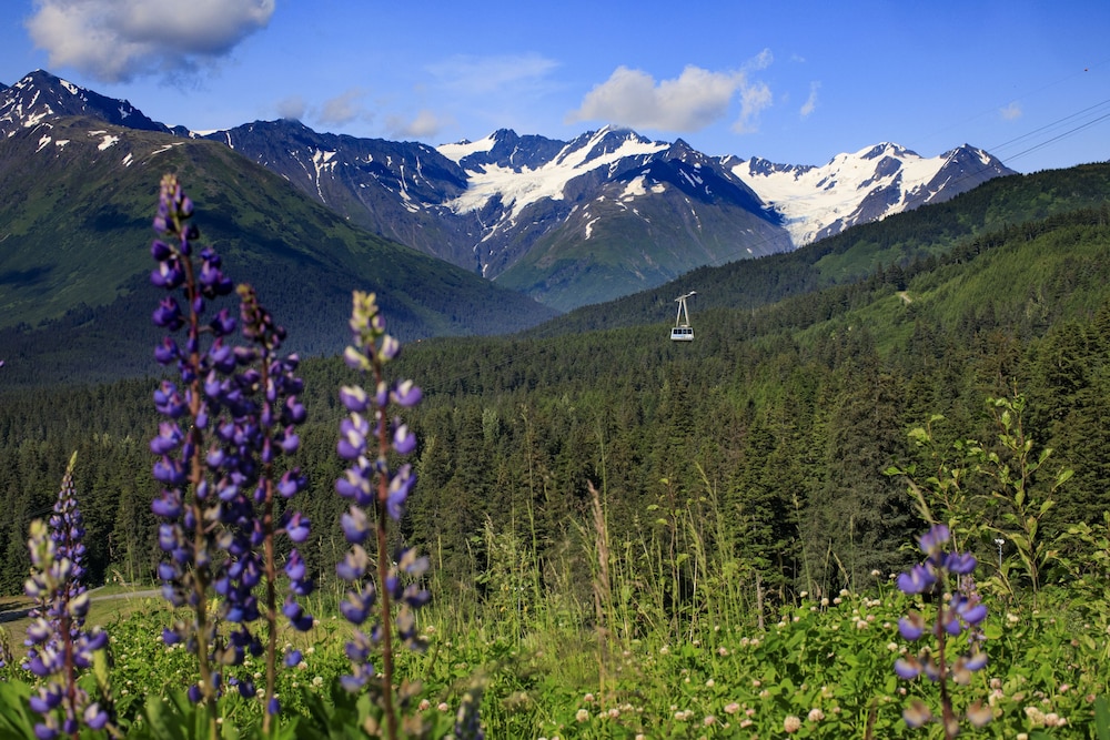 Alyeska Resort - photo 81