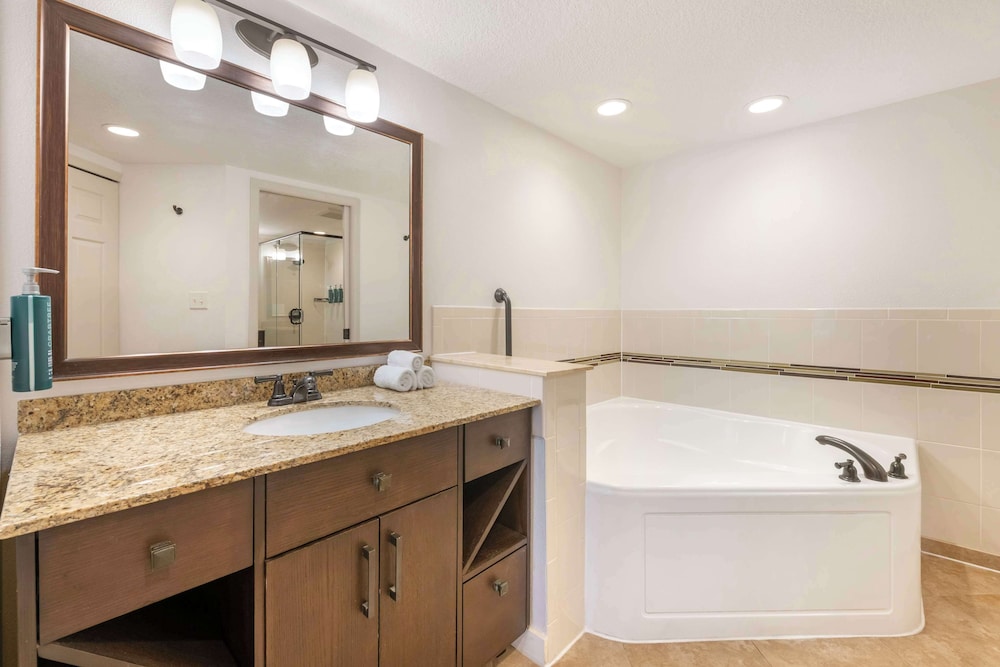 Hilton Vacation Club Aqua Sol Orlando West - photo 47