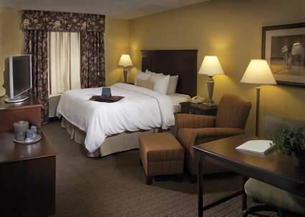 Hampton Inn Schenectady Downtown - photo 3