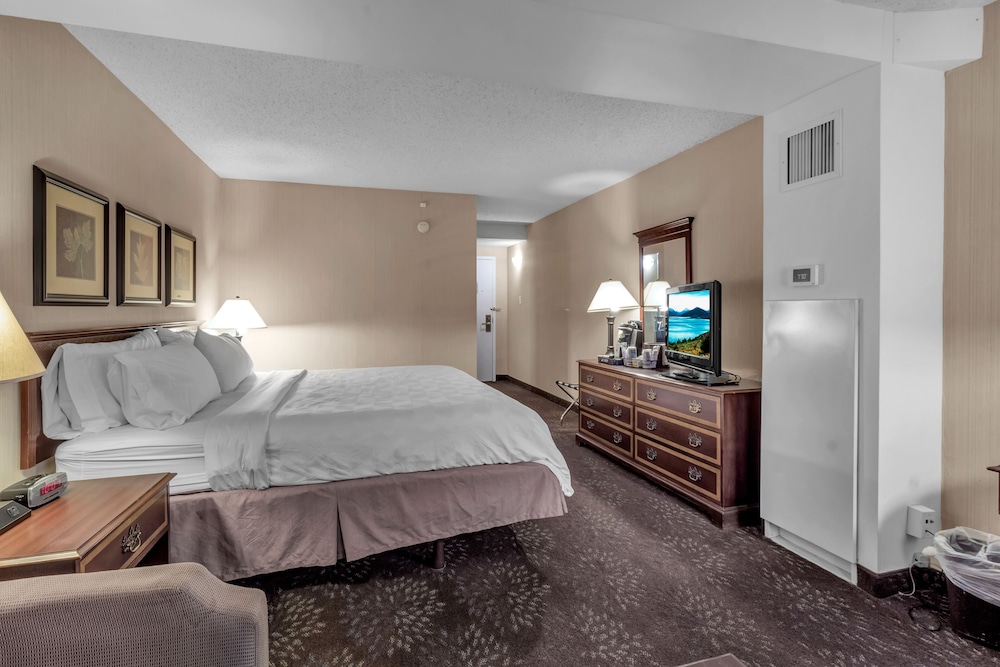 Buffalo Airport Hotel - photo 14