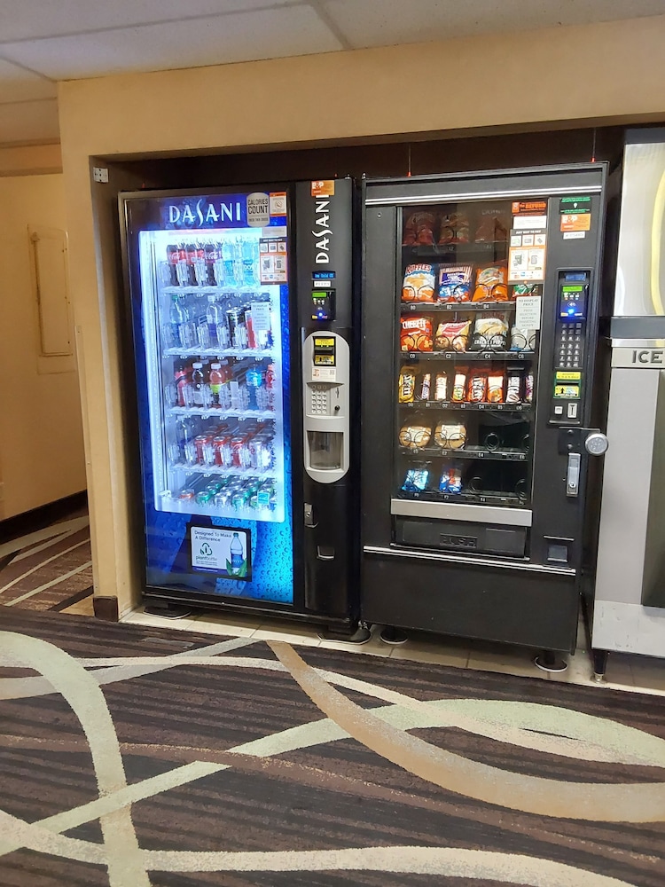 Lavissh Inn & Suites - photo 21