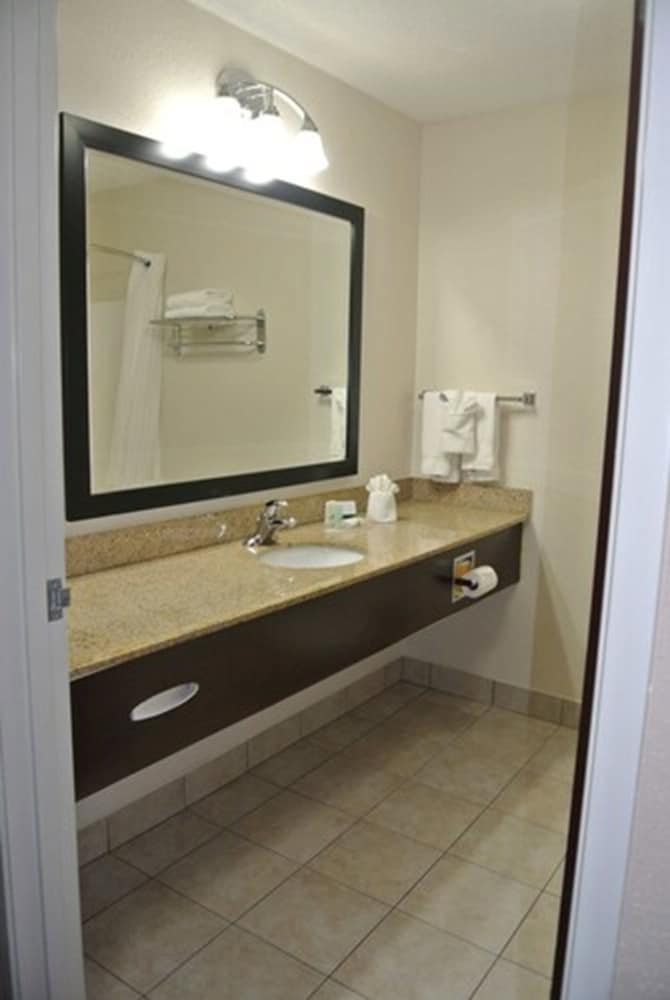 Quality Inn & Suites Arnold St Louis - photo 31