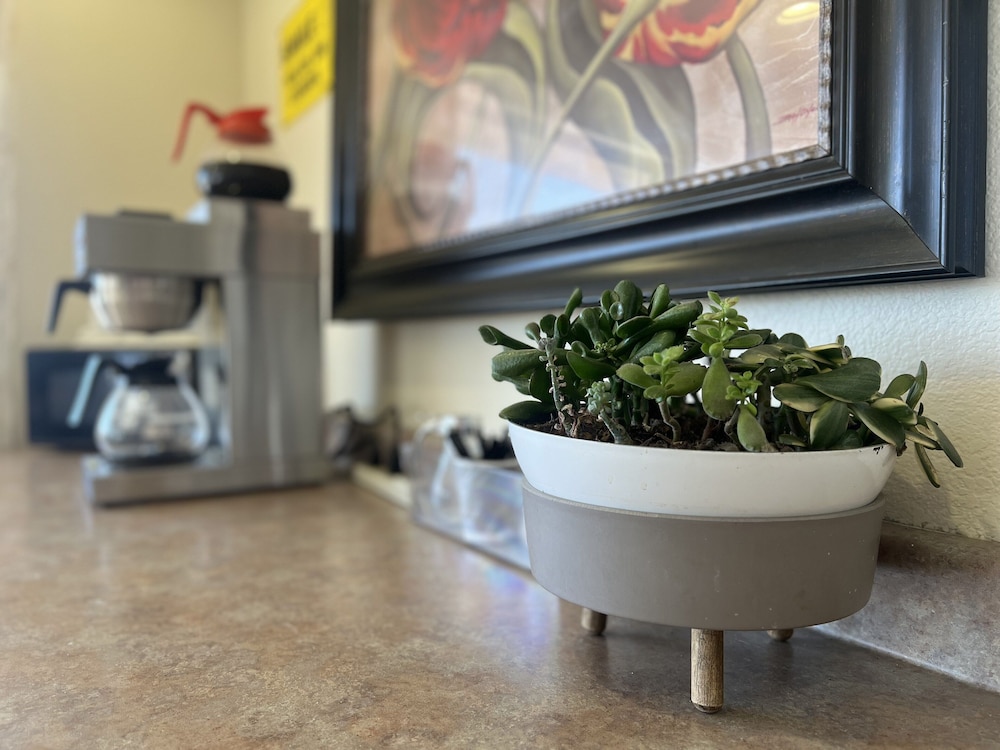 Vagabond Inn Fresno - photo 2