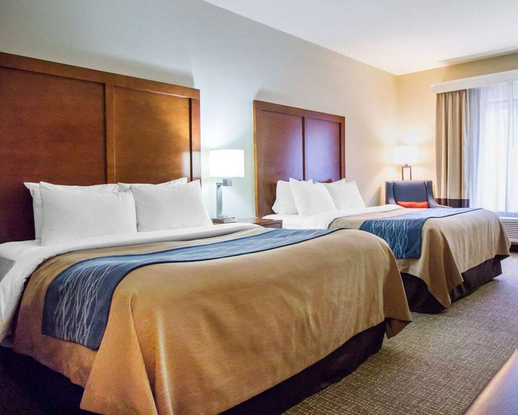 Comfort Inn & Suites Deadwood - photo 12