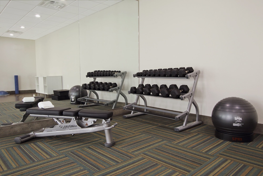 Holiday Inn Express & Suites Brookshire Katy Freeway by IHG - photo 17