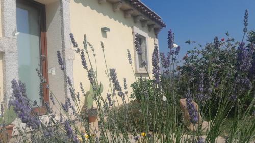 Dependance Pavoncella — 4-Star Luxury Hotel in Arzachena, Italy