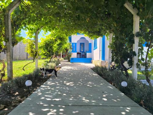 Casa Traditionala Clisciova 21279533 — Murighiol