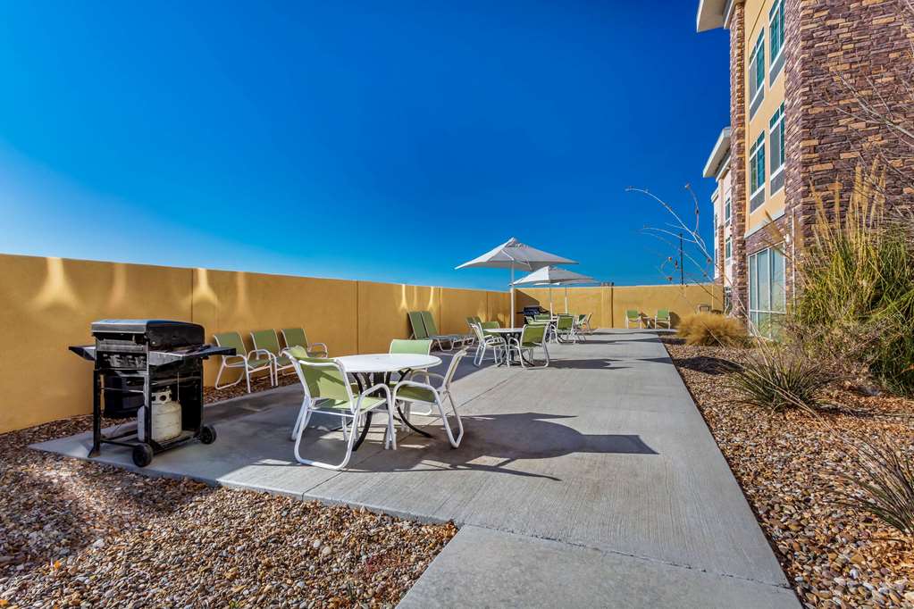 La Quinta Inn & Suites by Wyndham Monahans - photo 29