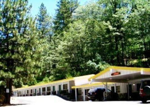 Golden Chain Motel - photo 16