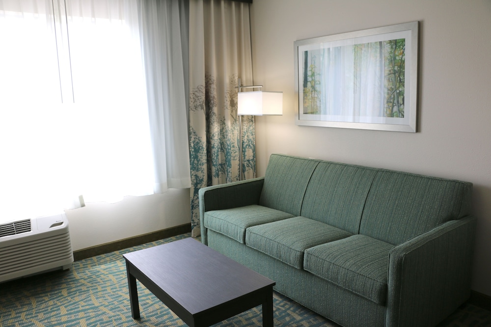 Holiday Inn Express & Suites Hendersonville SE Flat Rock by IHG - photo 4