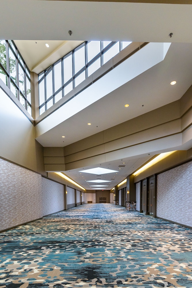 Grand Traverse Resort And Spa - photo 64