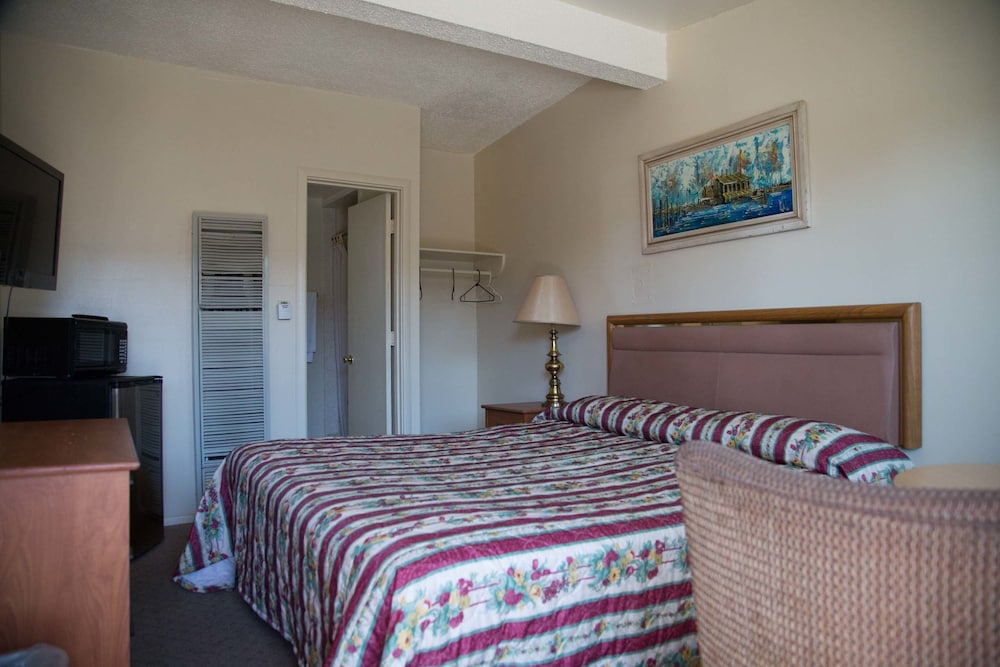 Boron Motel - photo 10