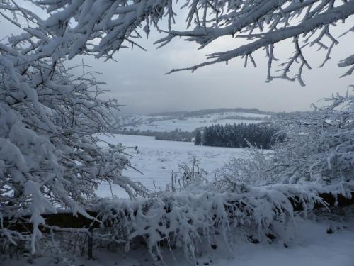 Berggasthof Zum Steira - carbon neutral hotel in Schotten
