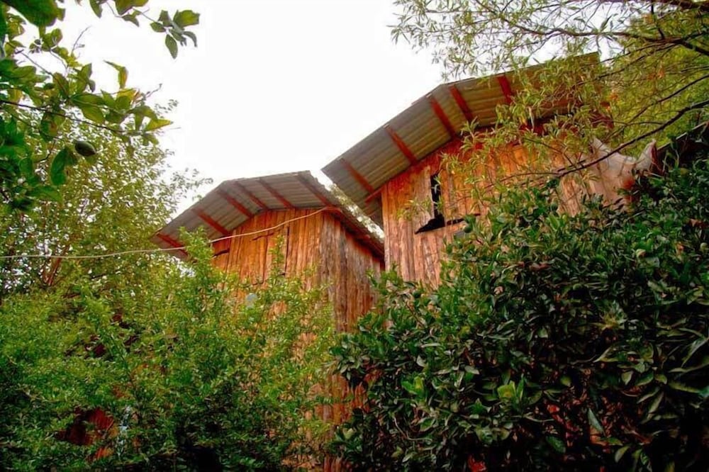Bayrams Tree Houses — Kumluca — photo 5