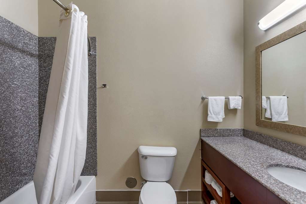 Comfort Inn & Suites Carbondale University Area - photo 22