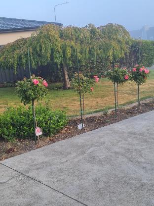Liz on Lowry — 4-Star Luxury Hotel in Hastings, New Zealand